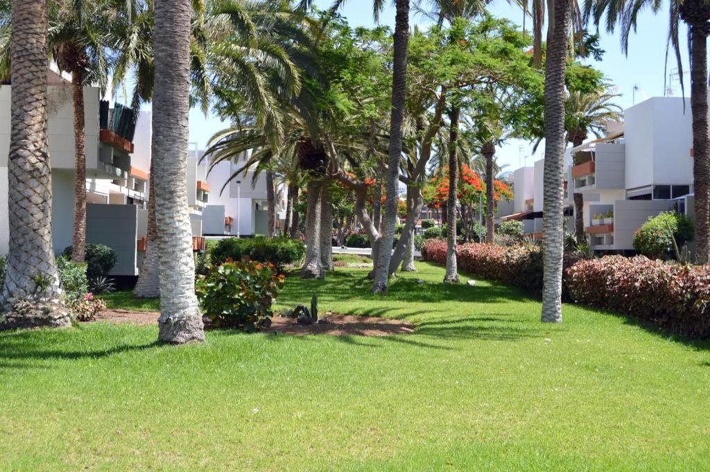 Azulete Apartment Arona  Exterior photo